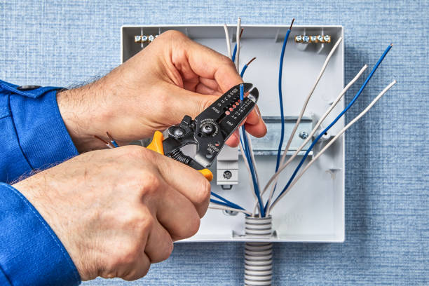 Best Electrical Panel Upgrades  in Dorneyville, PA